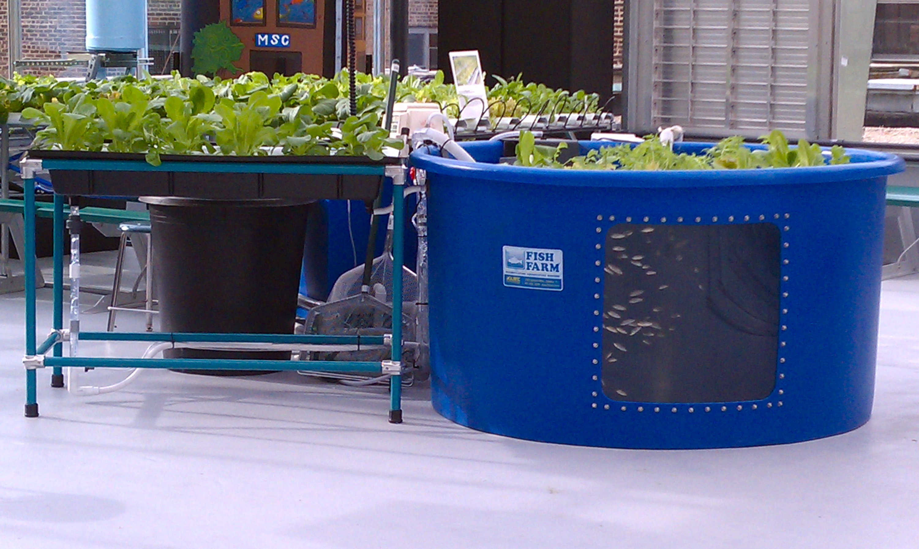 Food+Tech Connect 2 Years Later... A Rooftop Environmental Science Lab
